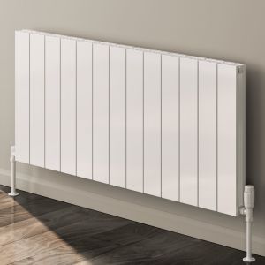 Reina Casina C Horizontal Aluminium Radiator